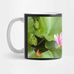 Red Waterlily Mug